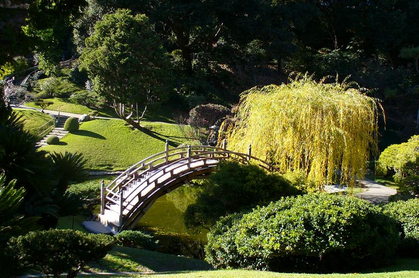 A restful Japanese garden at the Huntington in California